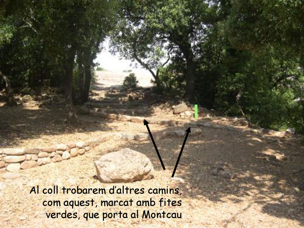 Al coll trobarem d’altres camins, com aquest, marcat amb fites verdes, que porta al Montcau