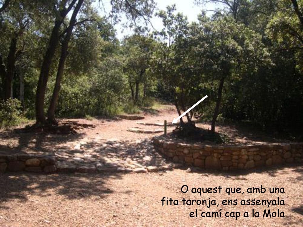 O aquest que, amb una fita taronja, ens assenyala el camí cap a la Mola