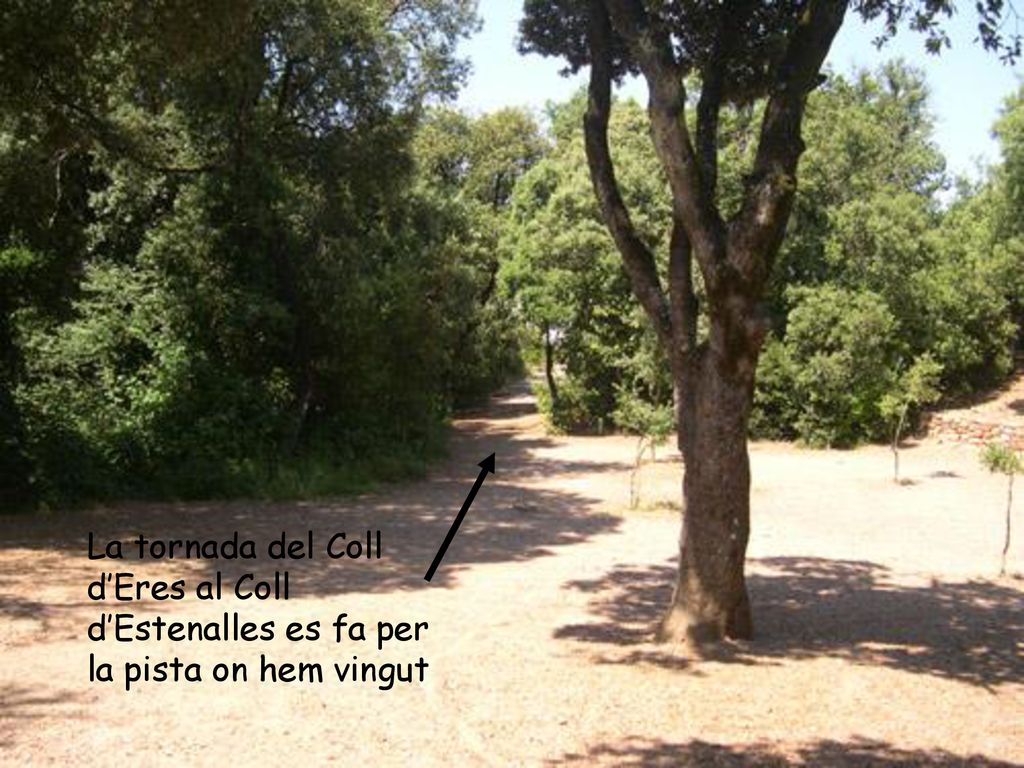 La tornada del Coll d’Eres al Coll d’Estenalles es fa per la pista on hem vingut