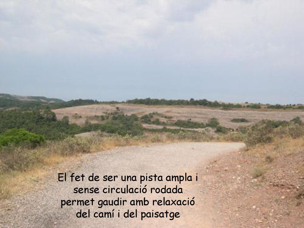 El fet de ser una pista ampla i sense circulació rodada permet gaudir amb relaxació del camí i del paisatge