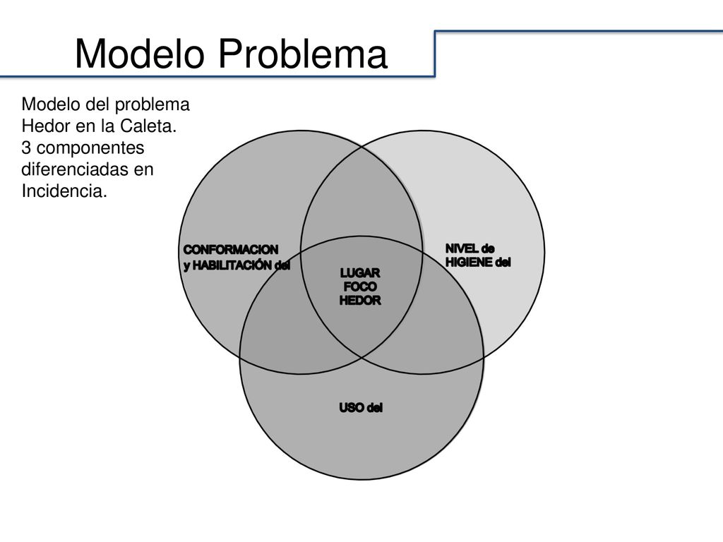 Modelo Problema Modelo del problema Hedor en la Caleta. 3 componentes