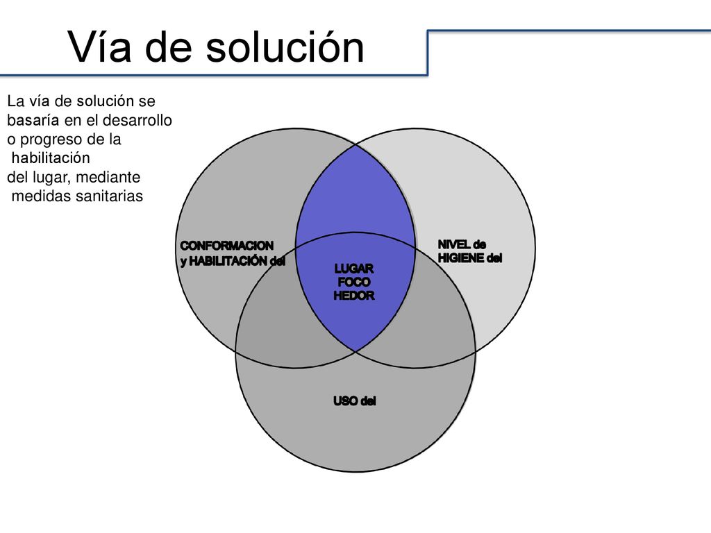 Vía de solución La vía de solución se basaría en el desarrollo