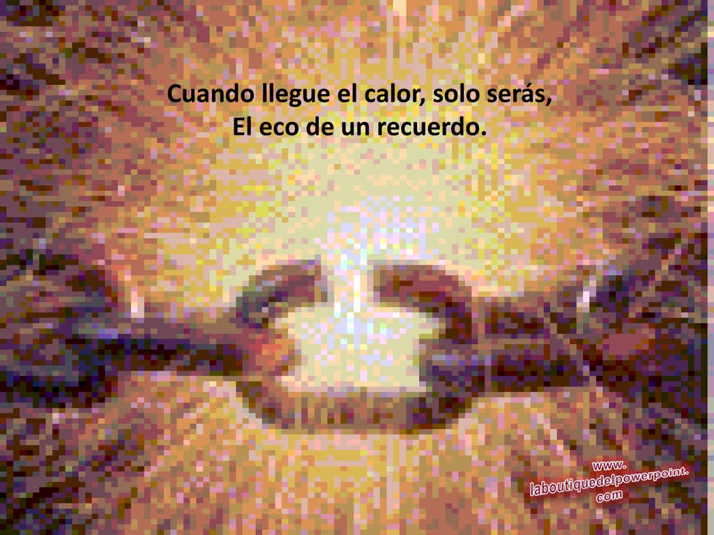 Cuando llegue el calor, solo serás, laboutiquedelpowerpoint.