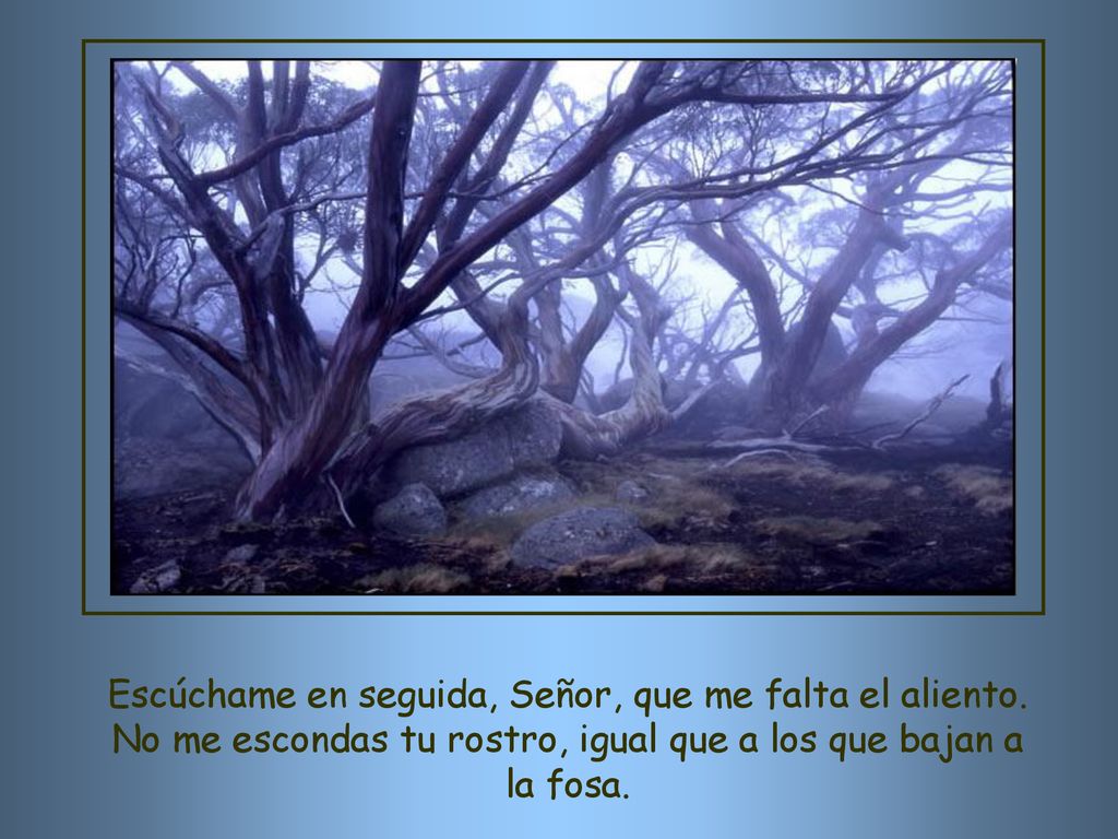 Escúchame en seguida, Señor, que me falta el aliento