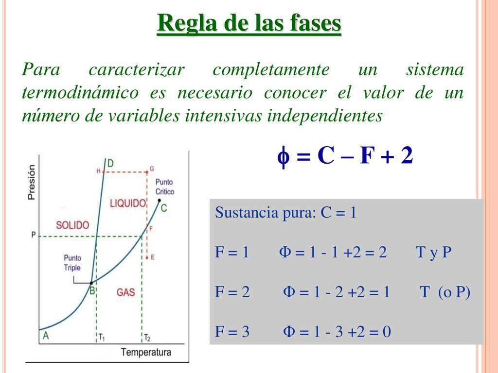 Regla de las fases  = C – F + 2