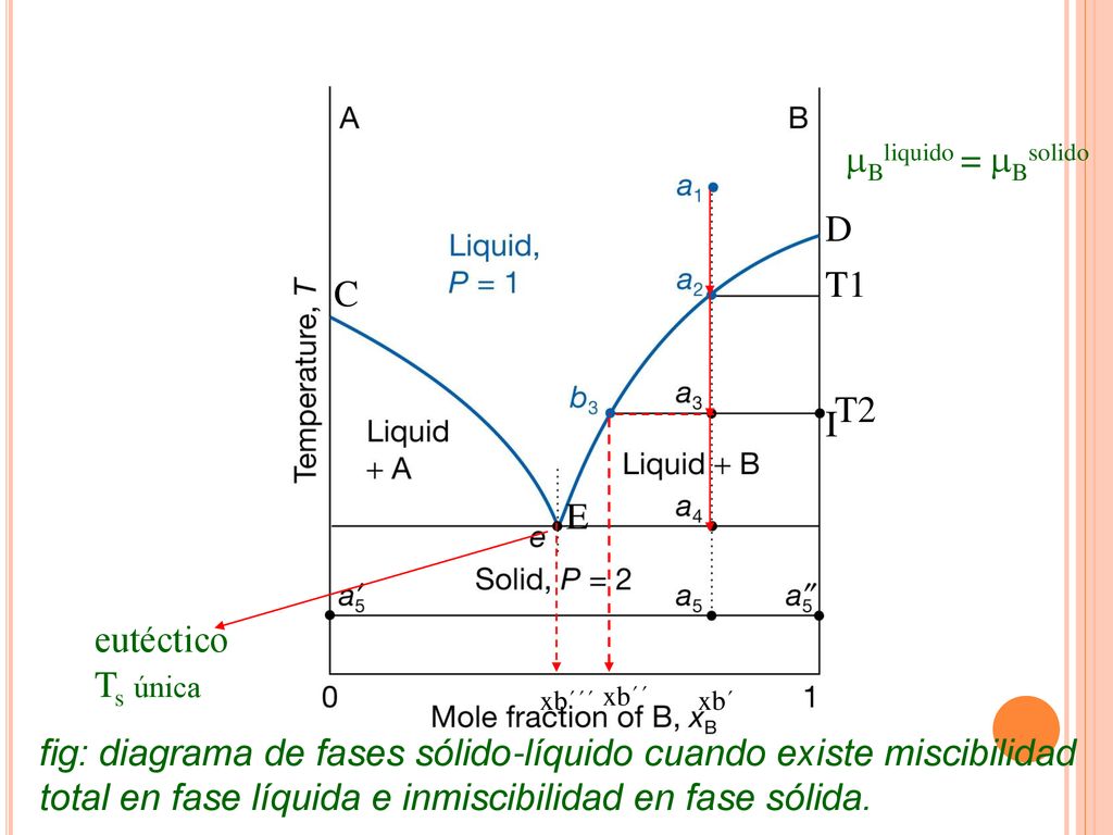 Bliquido = Bsolido D T1 C T2 I E eutéctico Ts única