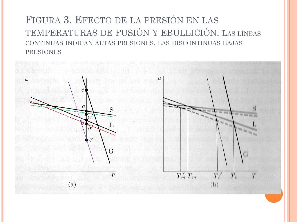 Figura 3. Efecto de la presión en las temperaturas de fusión y ebullición.