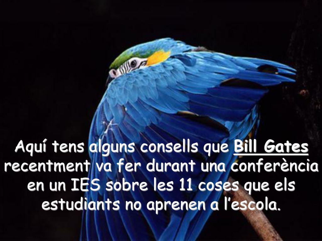 Aquí tens alguns consells que Bill Gates recentment va fer durant una conferència en un IES sobre les 11 coses que els estudiants no aprenen a l’escola.