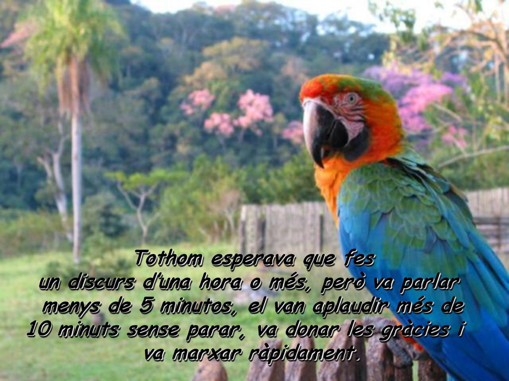 Tothom esperava que fes un discurs d’una hora o més, però va parlar