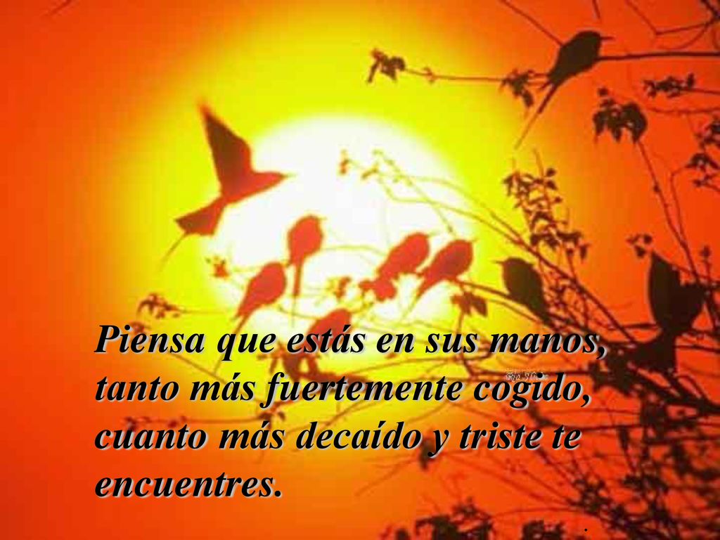 Piensa que estás en sus manos, tanto más fuertemente cogido, cuanto más decaído y triste te encuentres.
