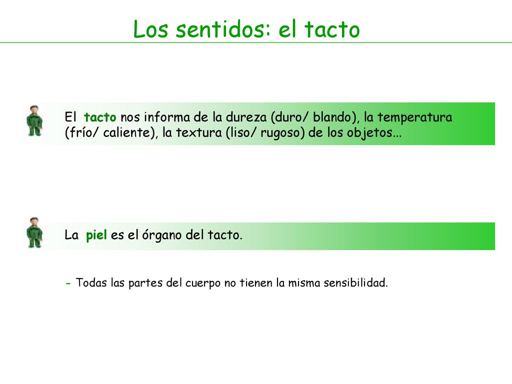 Los sentidos: el tacto El tacto nos informa de la dureza (duro/ blando), la temperatura.