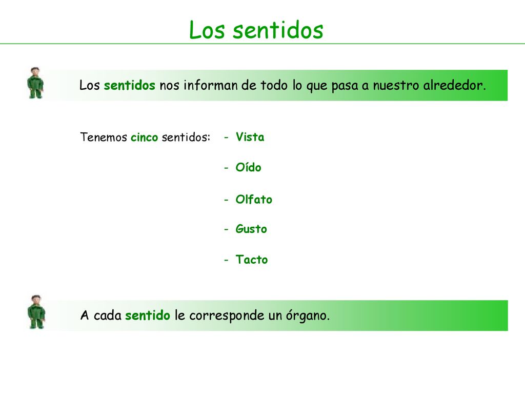 Los sentidos Los sentidos nos informan de todo lo que pasa a nuestro alrededor. Tenemos cinco sentidos: