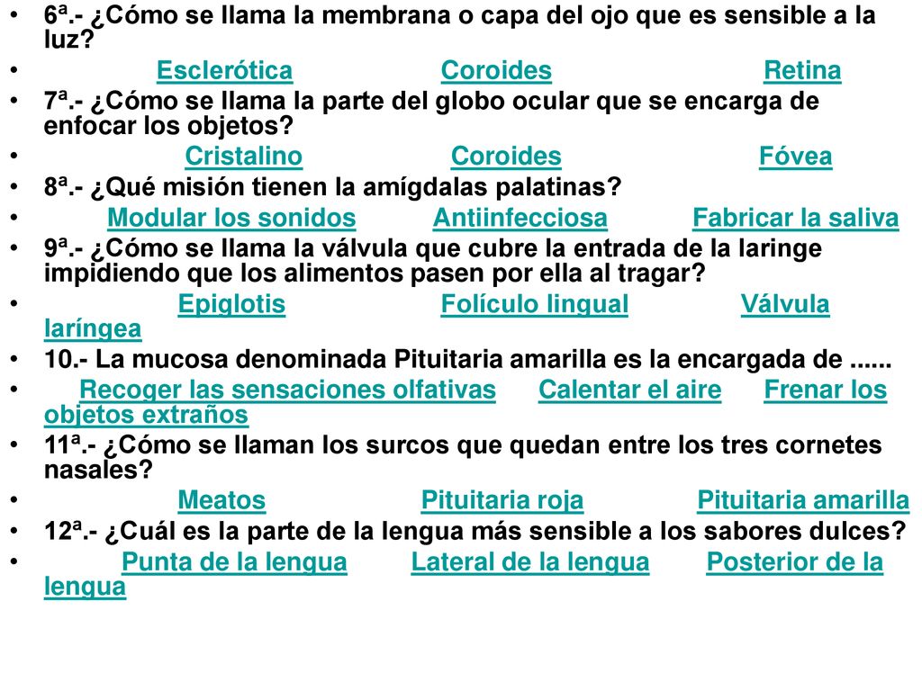 6ª.- ¿Cómo se llama la membrana o capa del ojo que es sensible a la luz