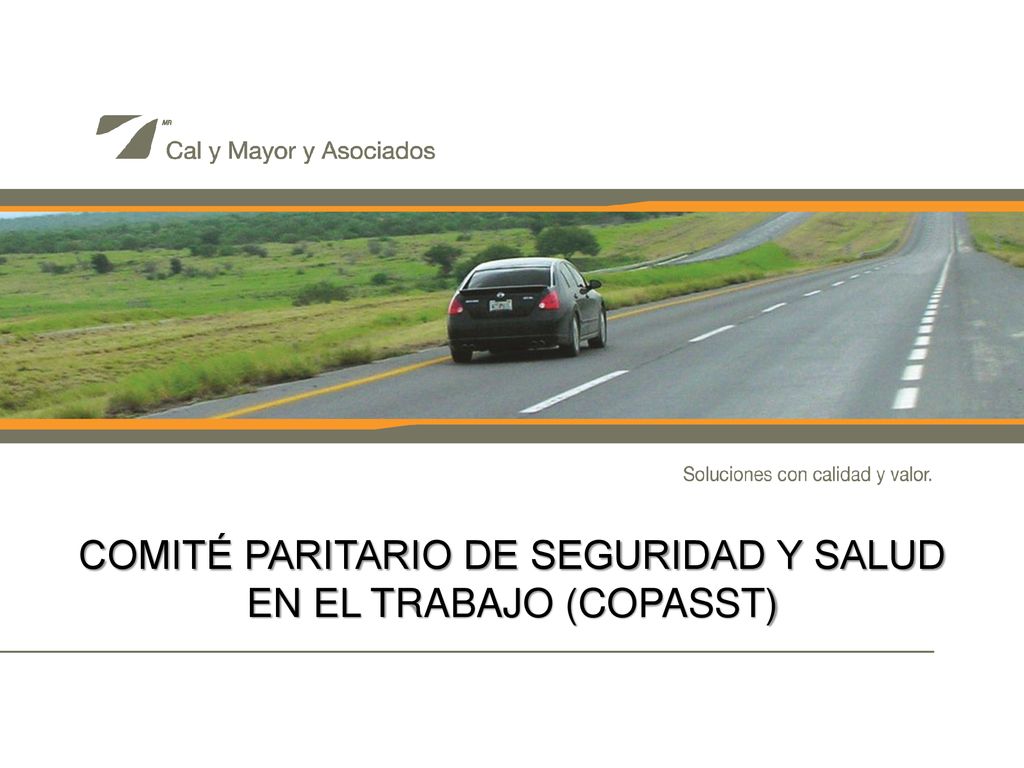 COMITÉ PARITARIO DE SEGURIDAD Y SALUD EN EL TRABAJO (COPASST)