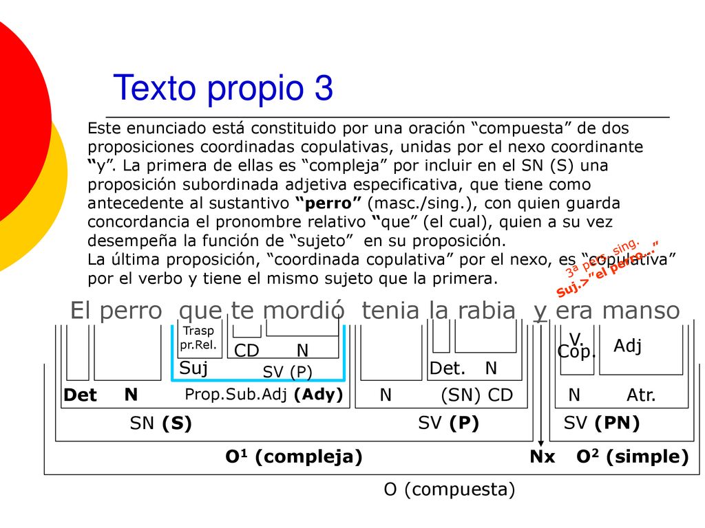Texto propio 3 El perro que te mordió tenia la rabia y era manso Adj
