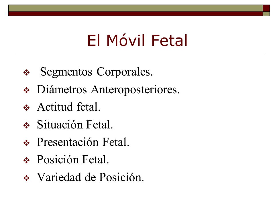 El Móvil Fetal Segmentos Corporales. Diámetros Anteroposteriores.