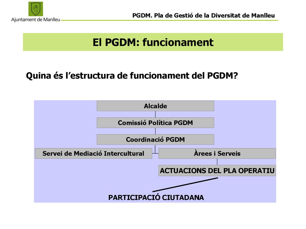 El PGDM: funcionament Quina és l’estructura de funcionament del PGDM