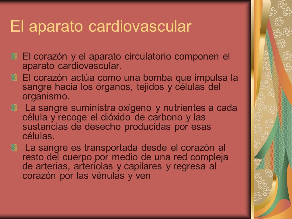 El aparato cardiovascular