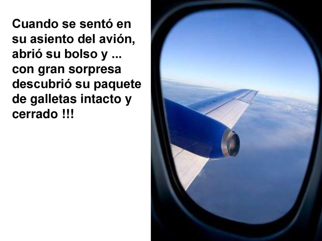 Cuando se sentó en su asiento del avión, abrió su bolso y