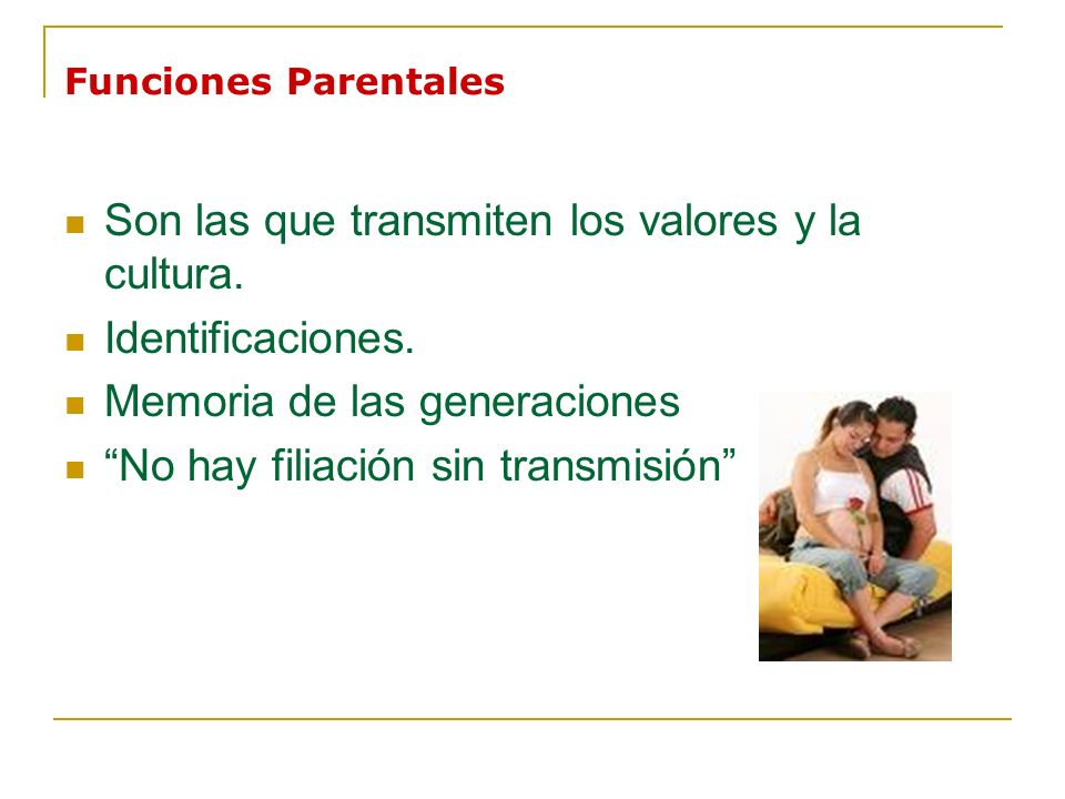 Son las que transmiten los valores y la cultura. Identificaciones.