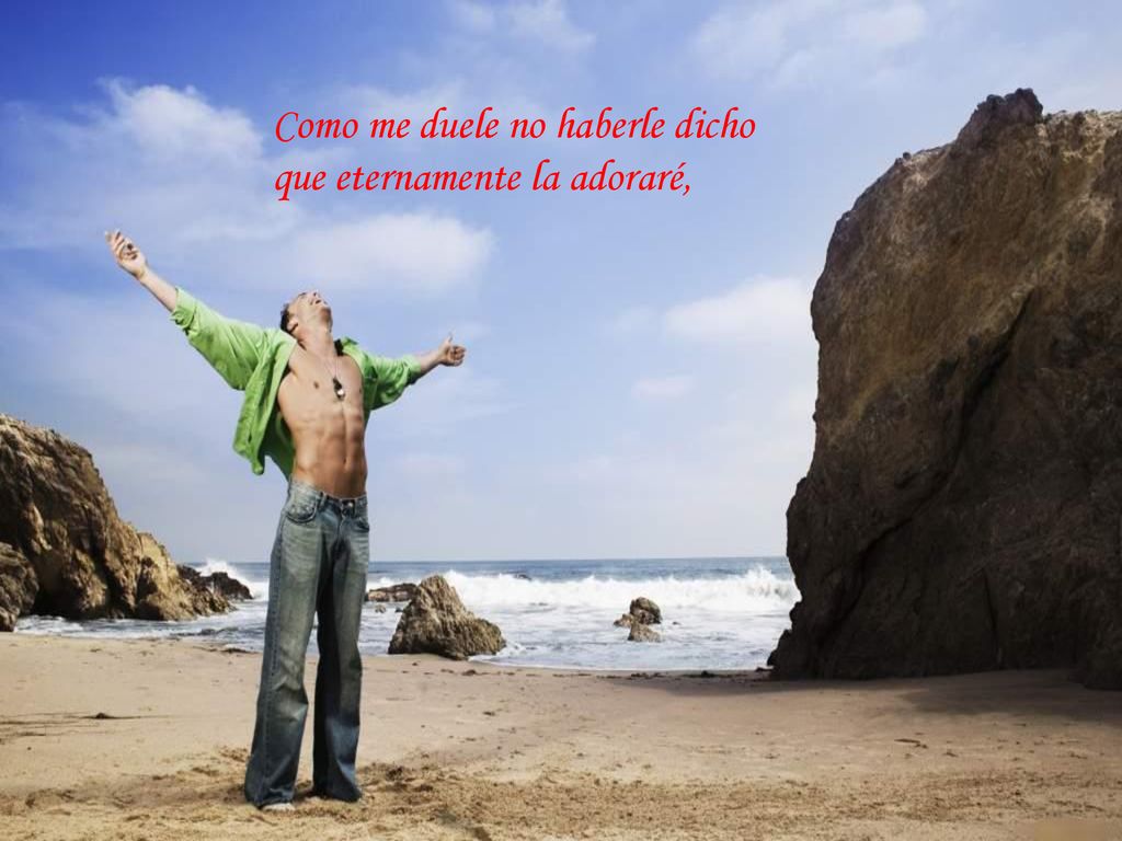 Como me duele no haberle dicho que eternamente la adoraré,