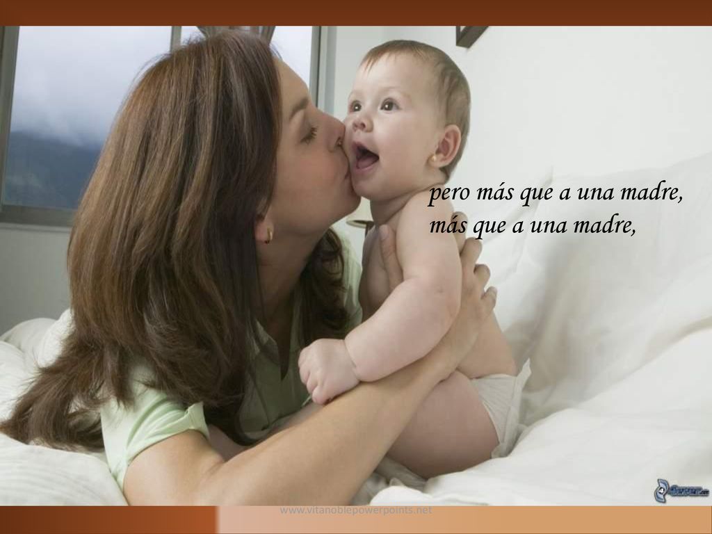 pero más que a una madre, más que a una madre,