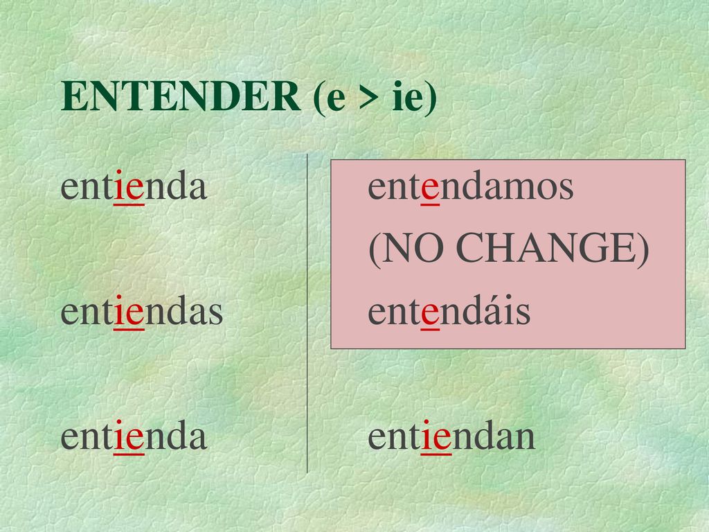ENTENDER (e > ie) entienda entiendas entendamos (NO CHANGE) entendáis entiendan