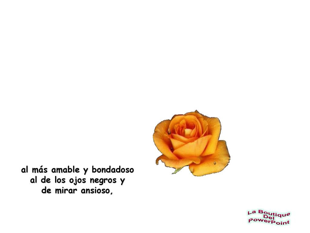 al más amable y bondadoso al de los ojos negros y de mirar ansioso,