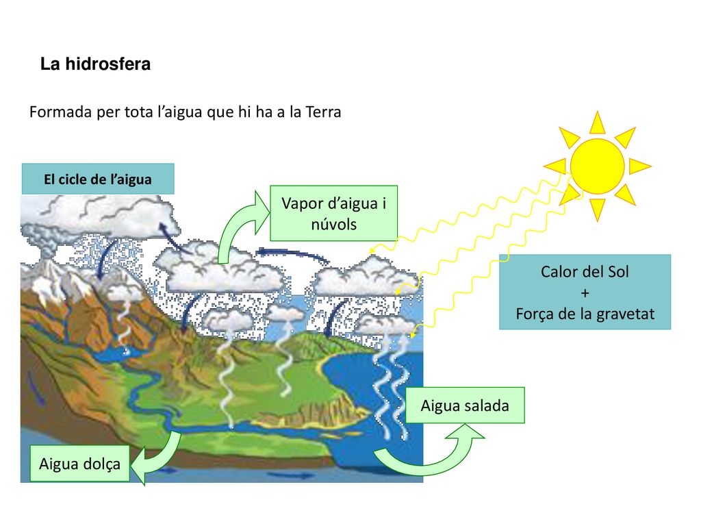 Formada per tota l’aigua que hi ha a la Terra