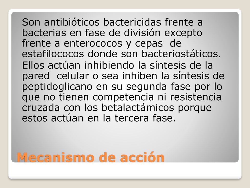 Son antibióticos bactericidas frente a bacterias en fase de división excepto frente a enterococos y cepas de estafilococos donde son bacteriostáticos. Ellos actúan inhibiendo la síntesis de la pared celular o sea inhiben la síntesis de peptidoglicano en su segunda fase por lo que no tienen competencia ni resistencia cruzada con los betalactámicos porque estos actúan en la tercera fase.