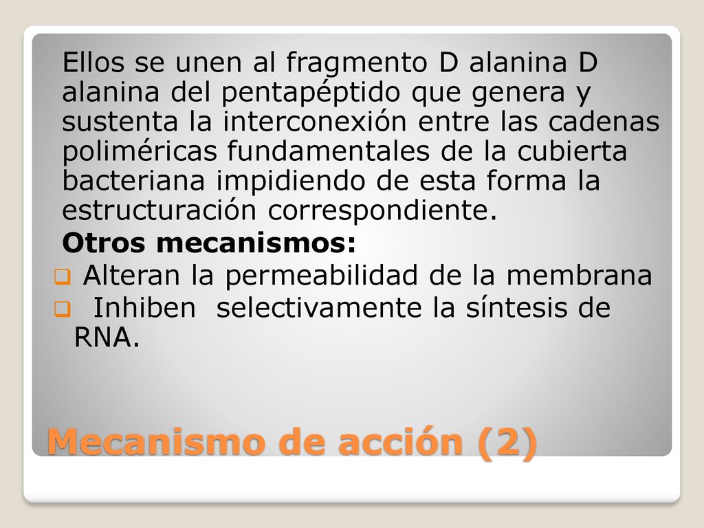 Ellos se unen al fragmento D alanina D alanina del pentapéptido que genera y sustenta la interconexión entre las cadenas poliméricas fundamentales de la cubierta bacteriana impidiendo de esta forma la estructuración correspondiente.