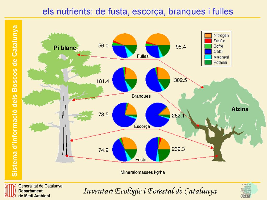 els nutrients: de fusta, escorça, branques i fulles