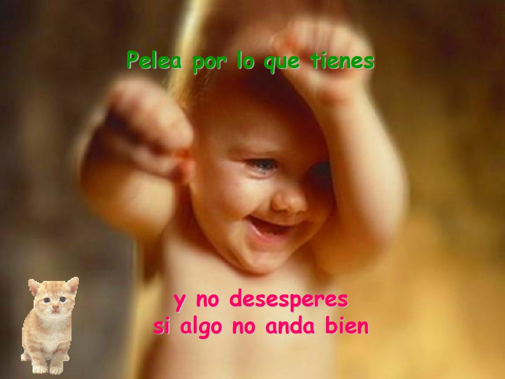 Pelea por lo que tienes y no desesperes si algo no anda bien