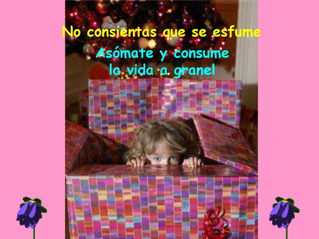 No consientas que se esfume Asómate y consume la vida a granel