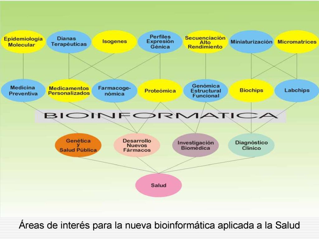 Áreas de interés para la nueva bioinformática aplicada a la Salud