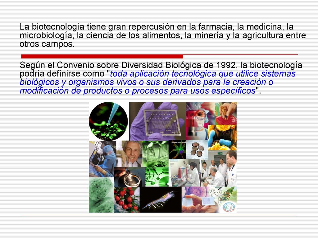 La biotecnología tiene gran repercusión en la farmacia, la medicina, la microbiología, la ciencia de los alimentos, la minería y la agricultura entre otros campos.
