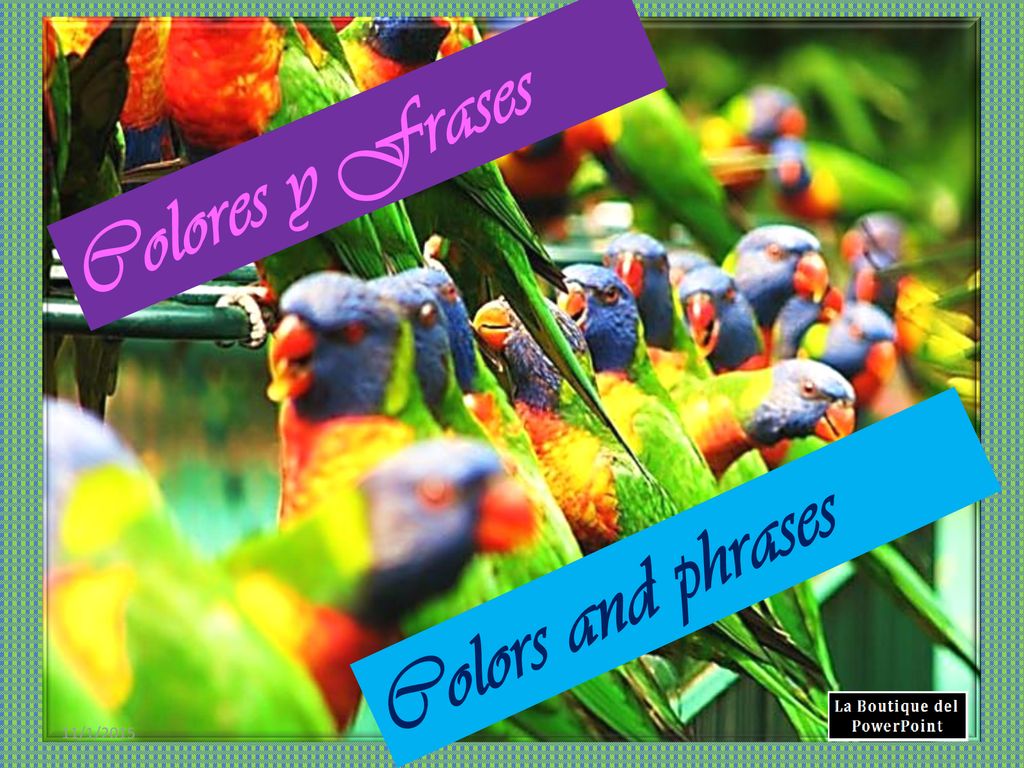 Colores y Frases Colors and phrases 11/1/2015