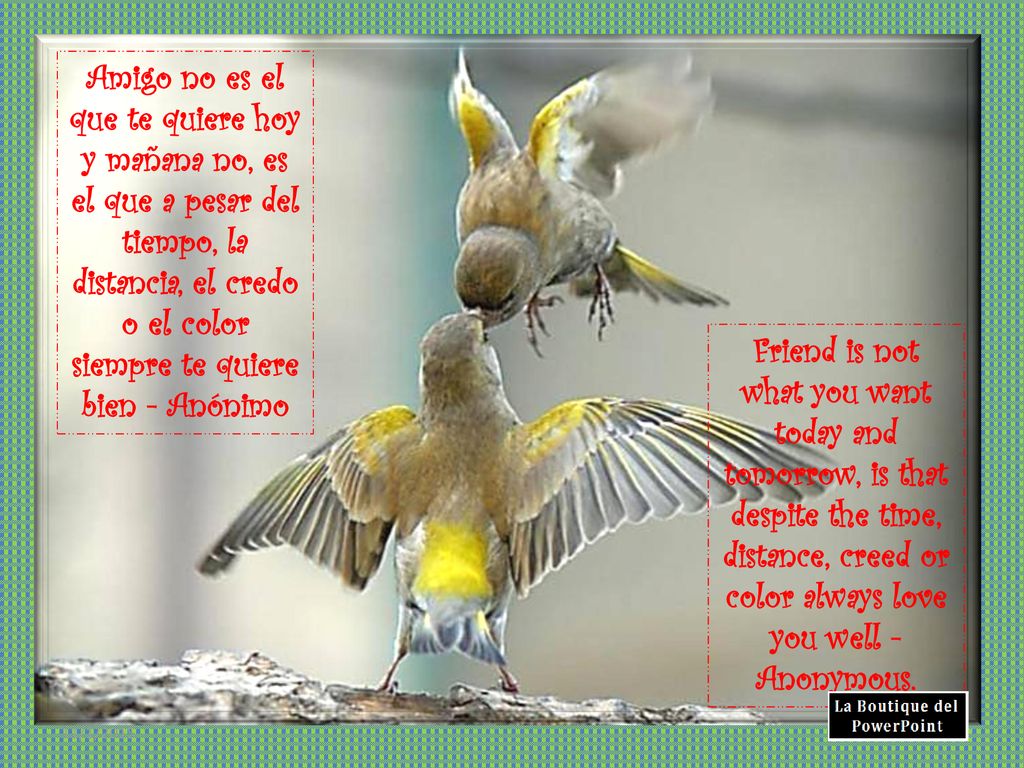 Amigo no es el que te quiere hoy y mañana no, es el que a pesar del tiempo, la distancia, el credo o el color siempre te quiere bien - Anónimo