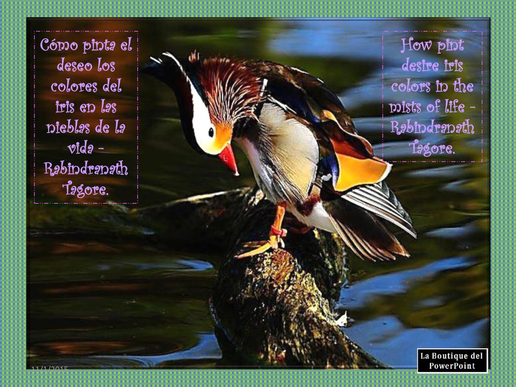 Cómo pinta el deseo los colores del iris en las nieblas de la vida - Rabindranath Tagore.