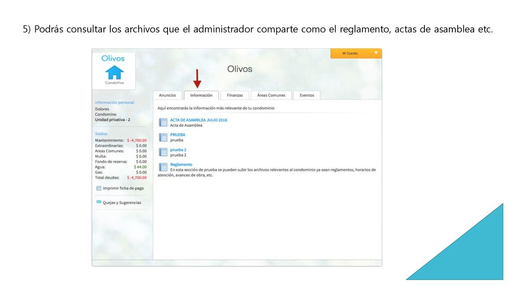 5) Podrás consultar los archivos que el administrador comparte como el reglamento, actas de asamblea etc.