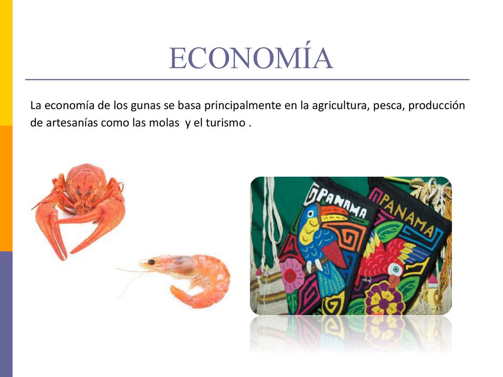 ECONOMÍA La economía de los gunas se basa principalmente en la agricultura, pesca, producción de artesanías como las molas y el turismo .