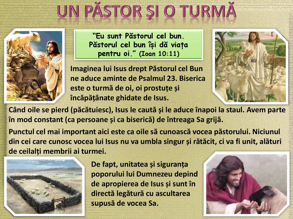 UN PĂSTOR și o turmă Eu sunt Păstorul cel bun. Păstorul cel bun își dă viața pentru oi. (Ioan 10:11)