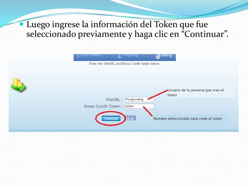 Luego ingrese la información del Token que fue seleccionado previamente y haga clic en Continuar .