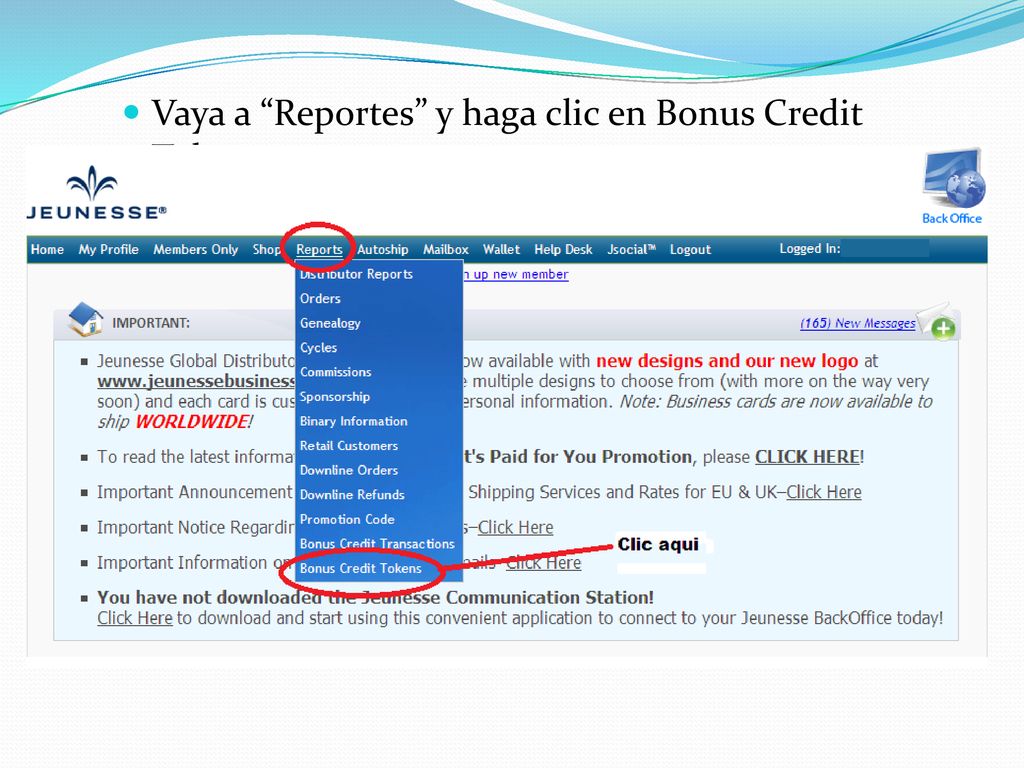 Vaya a Reportes y haga clic en Bonus Credit Tokens.