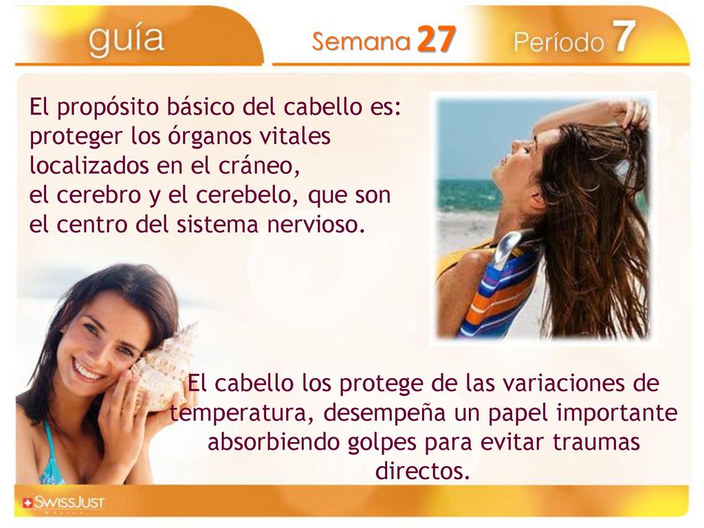 El propósito básico del cabello es: proteger los órganos vitales localizados en el cráneo,