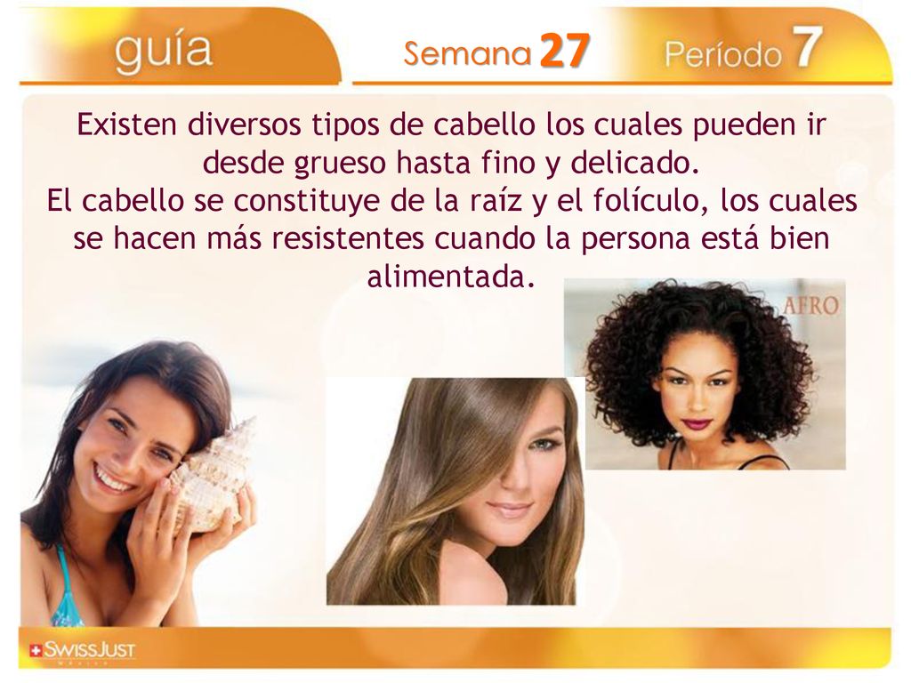 Existen diversos tipos de cabello los cuales pueden ir desde grueso hasta fino y delicado.