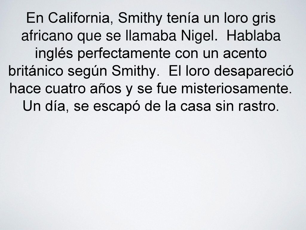 En California, Smithy tenía un loro gris africano que se llamaba Nigel