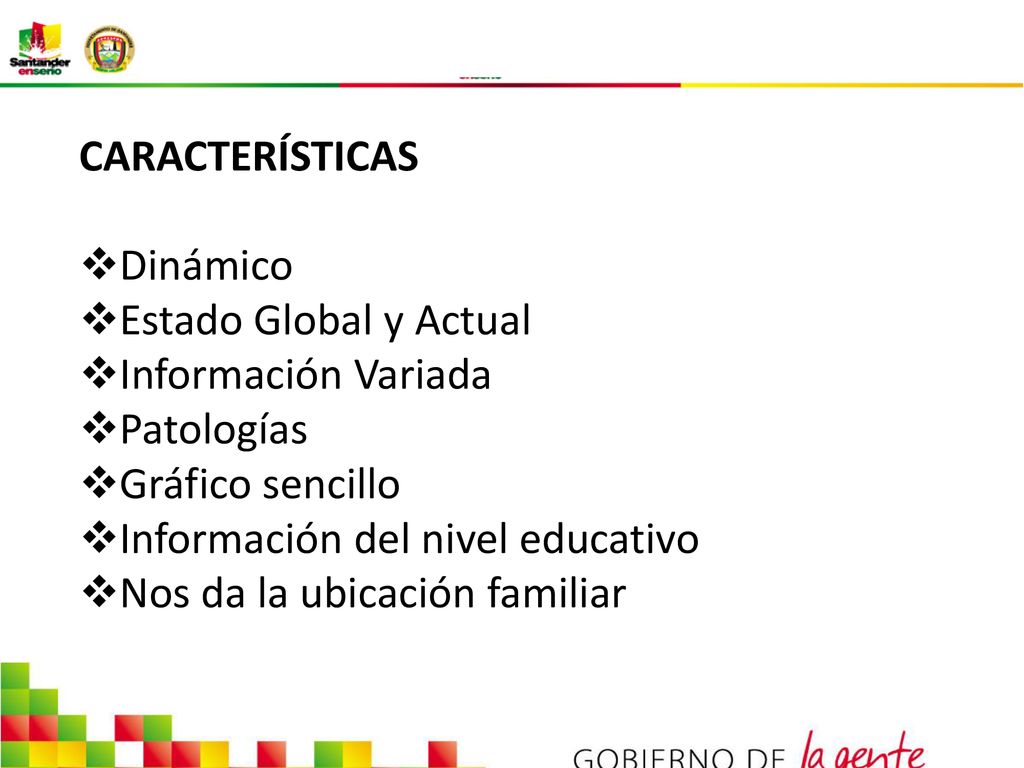 CARACTERÍSTICAS Dinámico. Estado Global y Actual. Información Variada. Patologías. Gráfico sencillo.