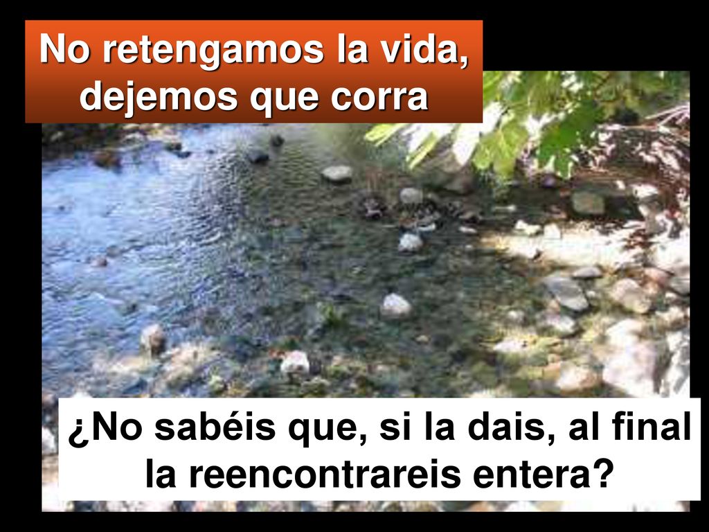 No retengamos la vida, dejemos que corra