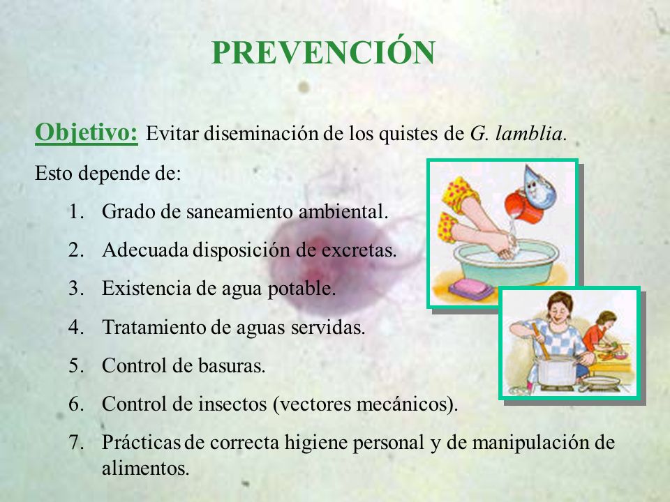 giardiasis prevencion y control)